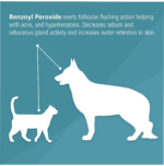 Pet MD Benzoyl Peroxide Medicated Shampoo for Dogs and Cats - Image 4