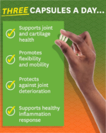 Zenwise Glucosamine Chondroitin Sulfate MSM Curcumin - Image 4
